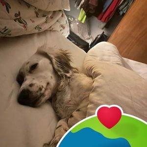 Meet your Posher, Annette